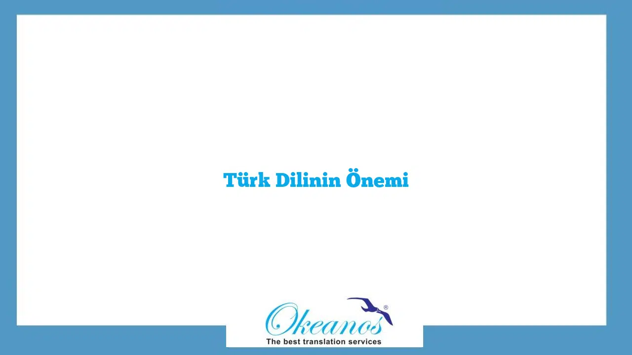 Türk Dilinin Önemi